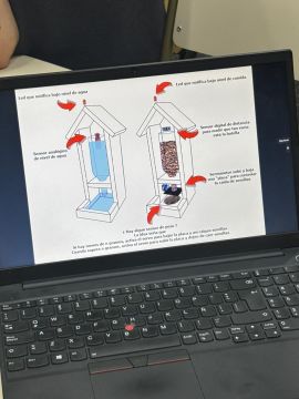 Grupo M4 AviFeeder Prototipo2.jpg